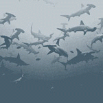 Manes : #417 :: Disorient